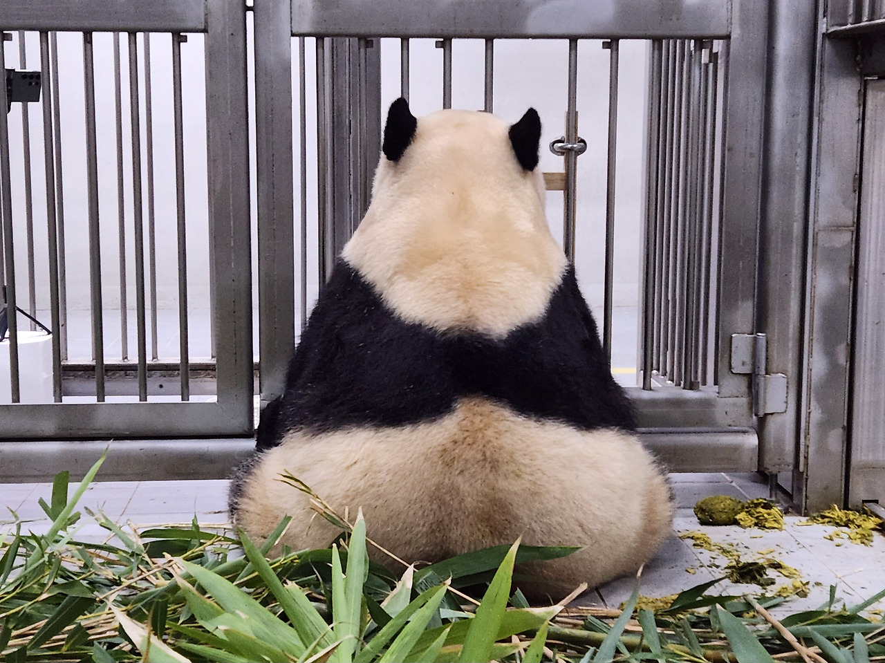 19화 '전뚠시'_Hey, Fu~!