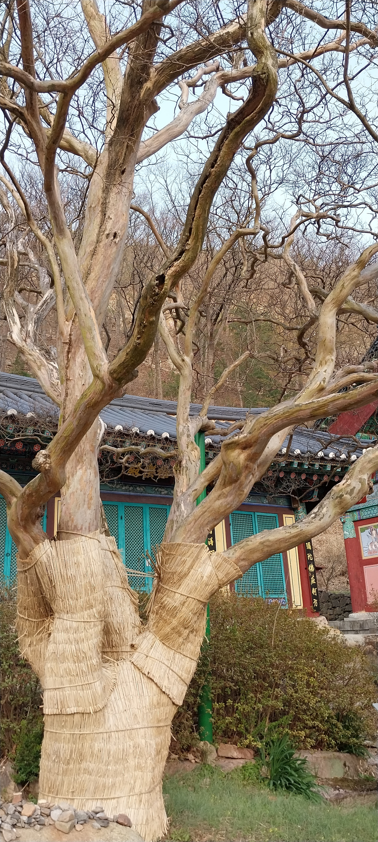 카지노 게임