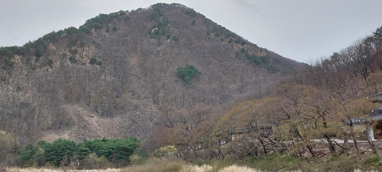 카지노 게임