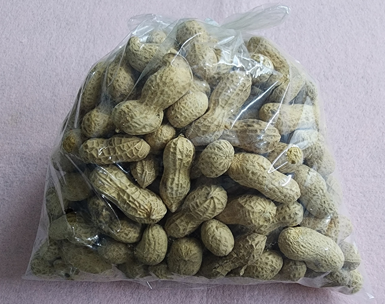 카지노 게임