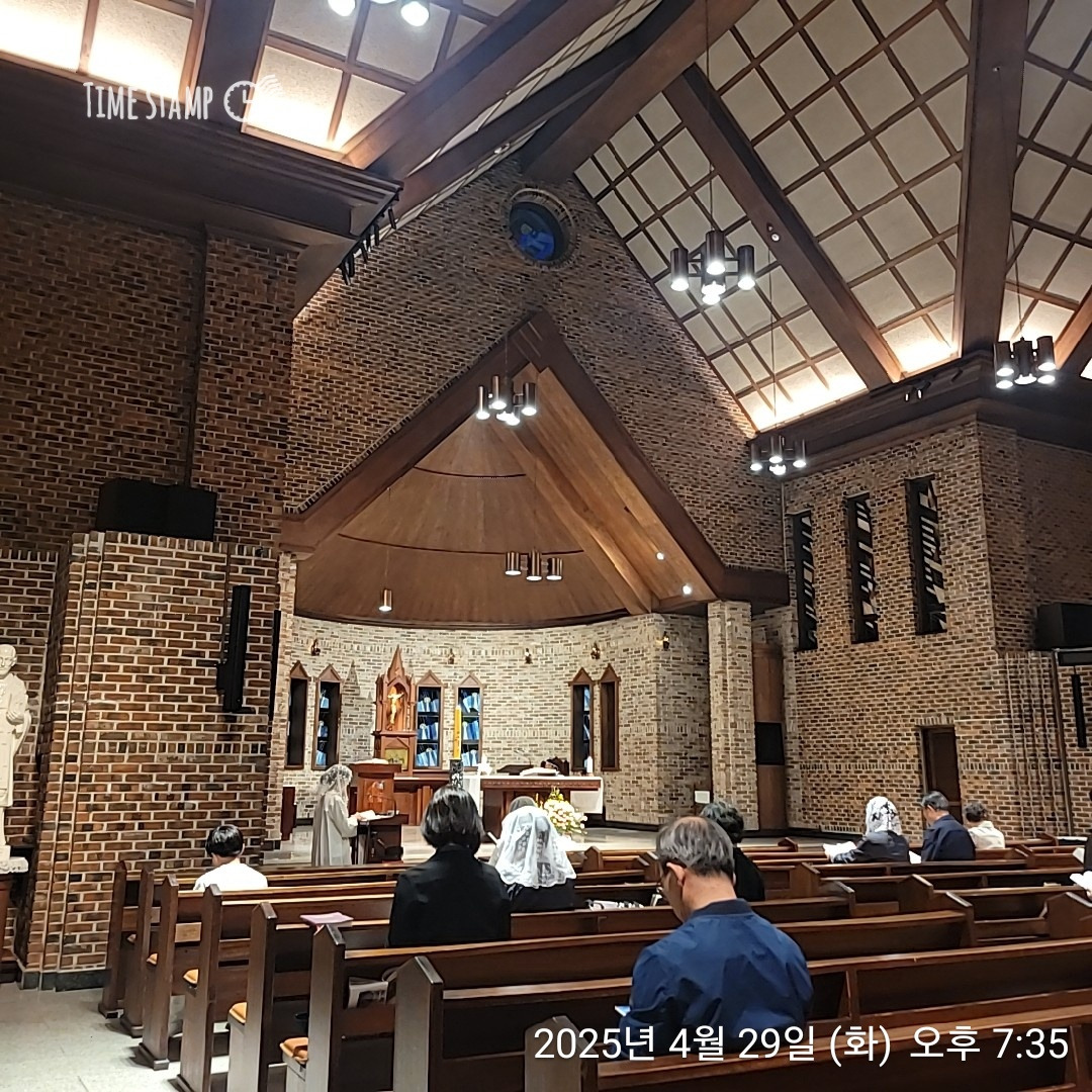 카지노 게임