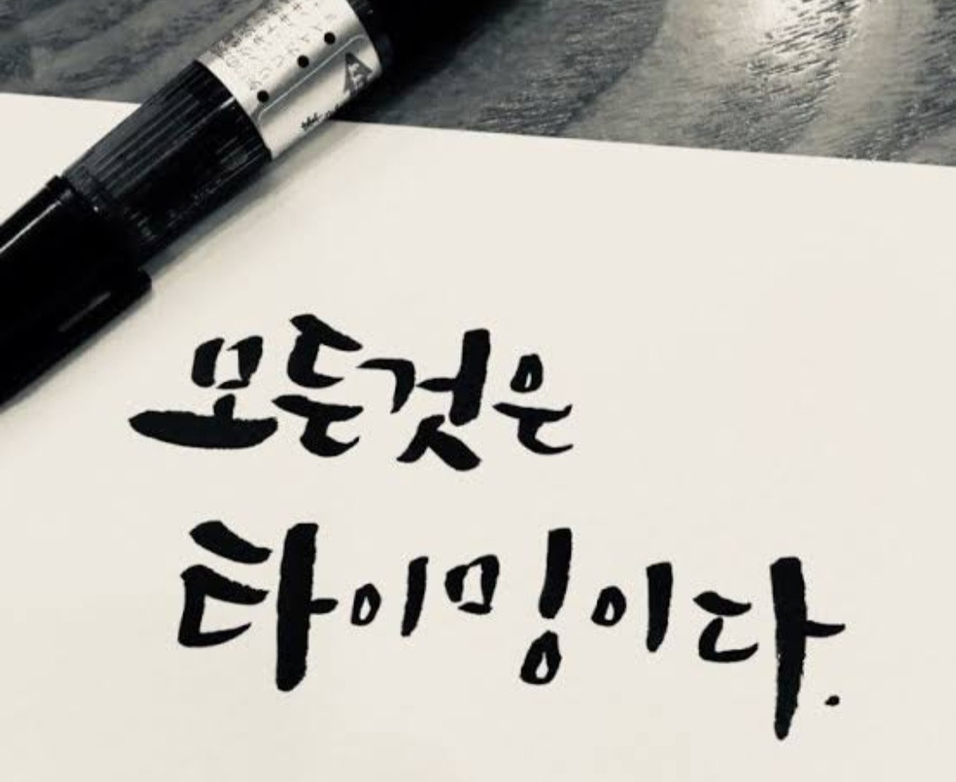 타이밍랩 이미지