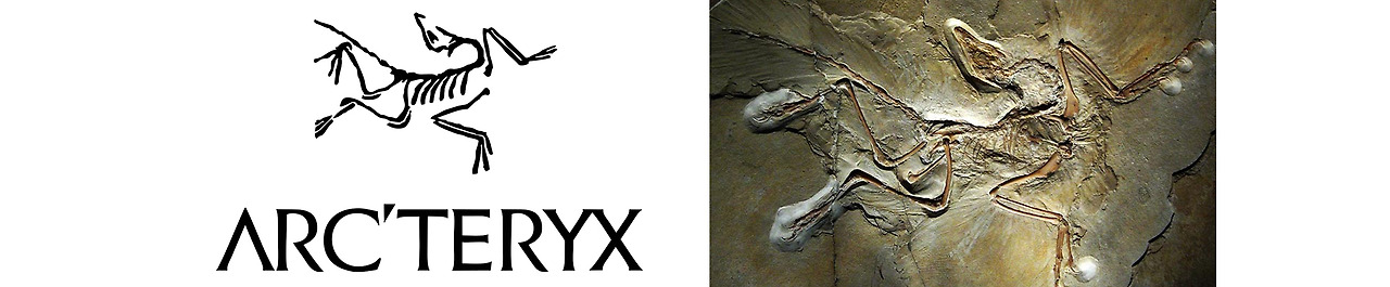 정상에 오르고 싶은 자, ARC'TERYX를 입어라!