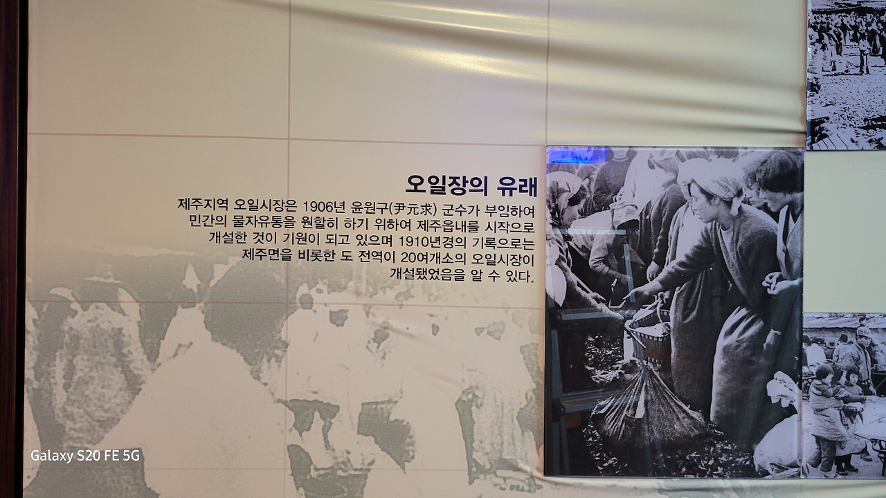 전국 최대의 오일장.. 제주민속오일시장