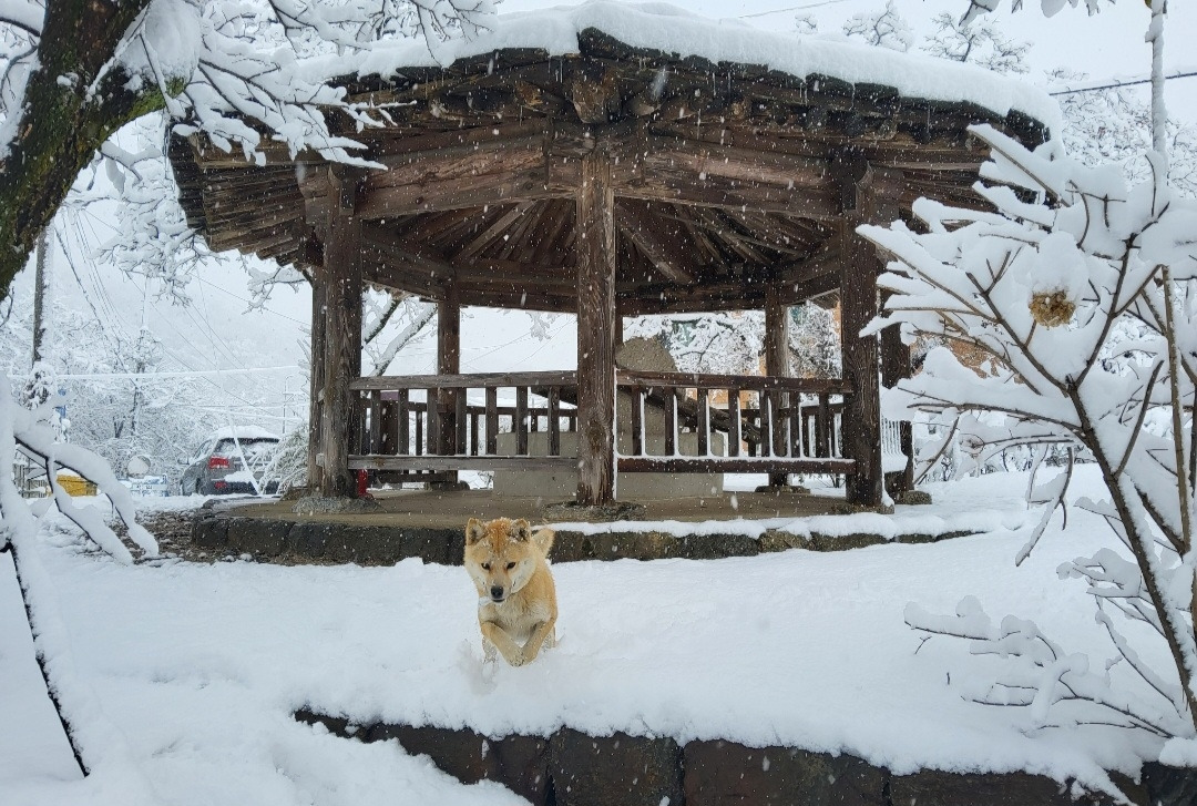 카지노 꽁 머니