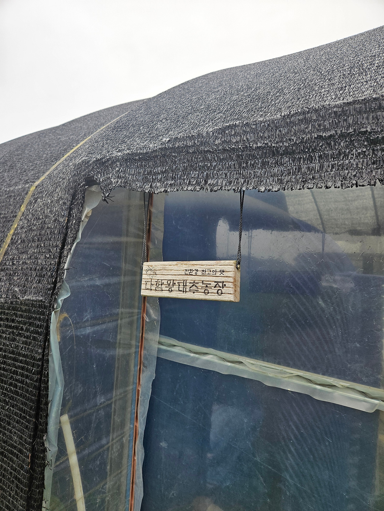 카지노 게임