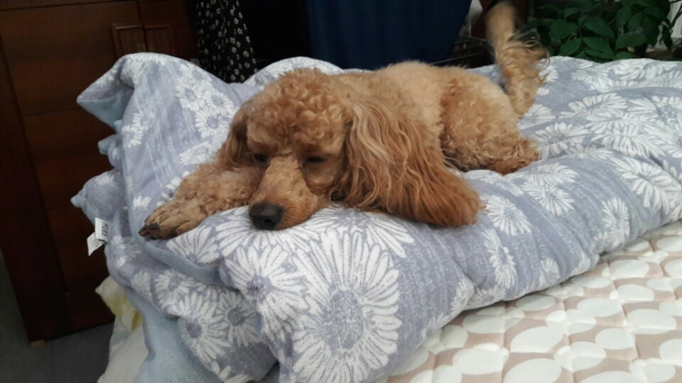 카지노 쿠폰