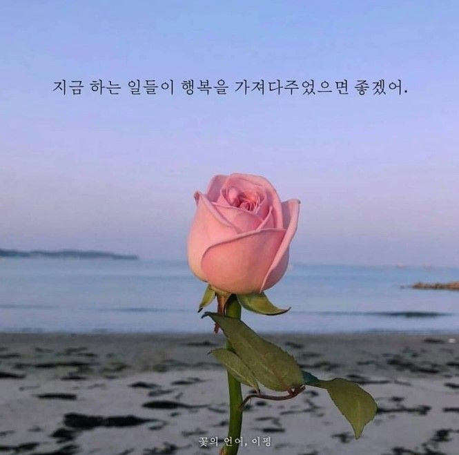 무료 카지노 게임