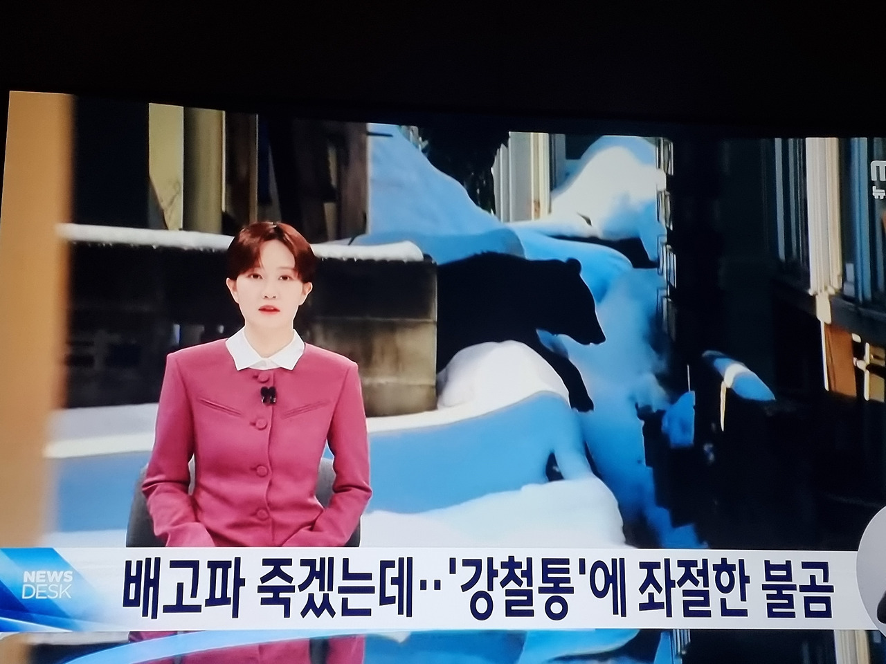 카지노 가입 쿠폰