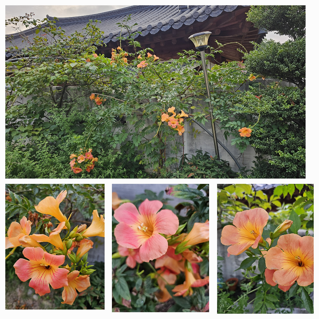 카지노 게임