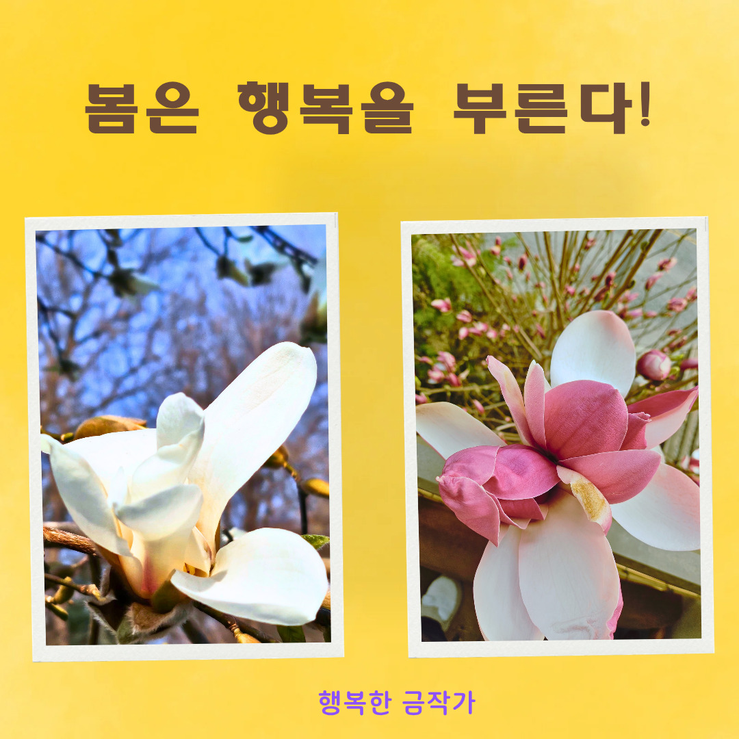 카지노 게임 추천
