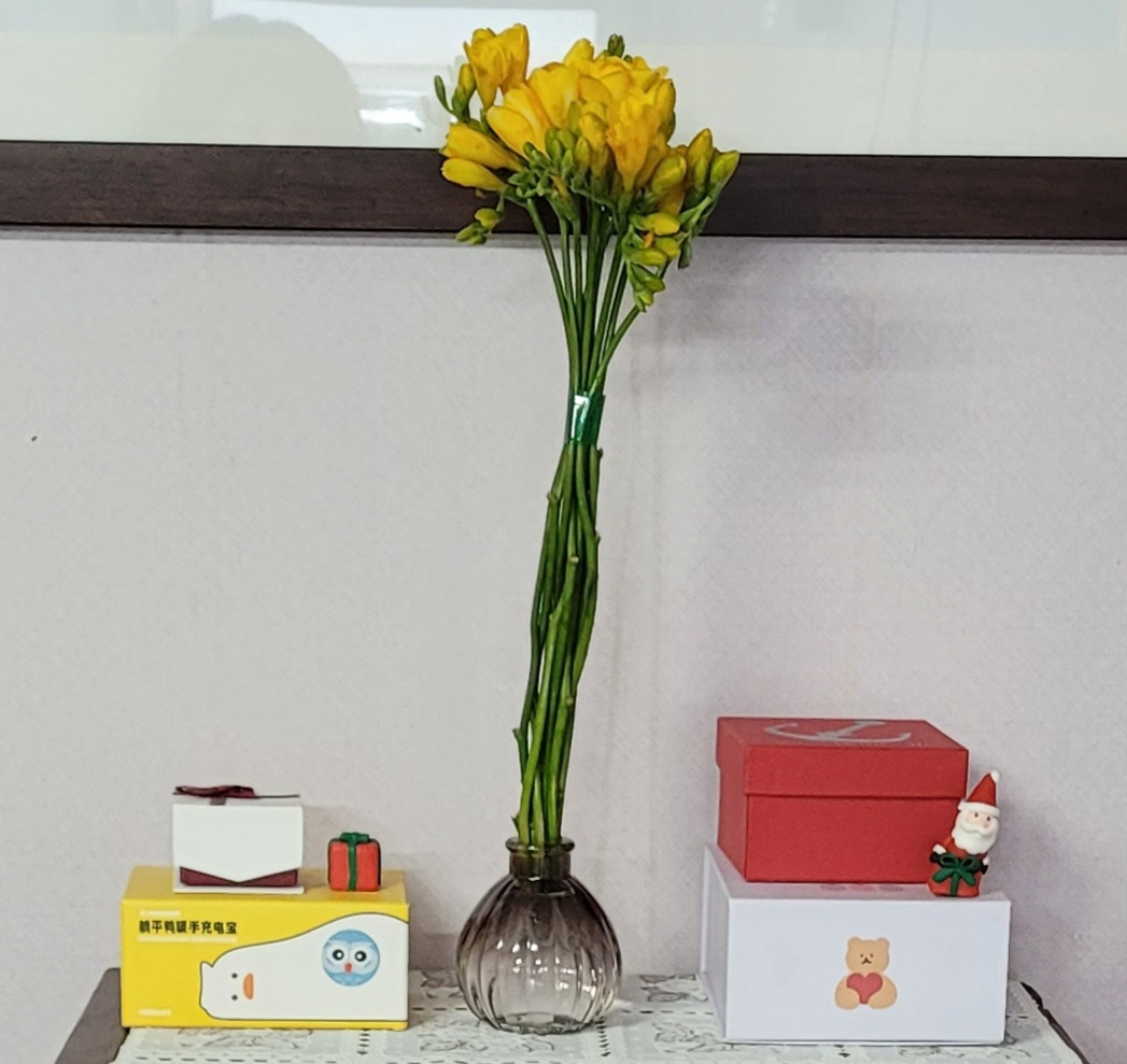 온라인 카지노 게임
