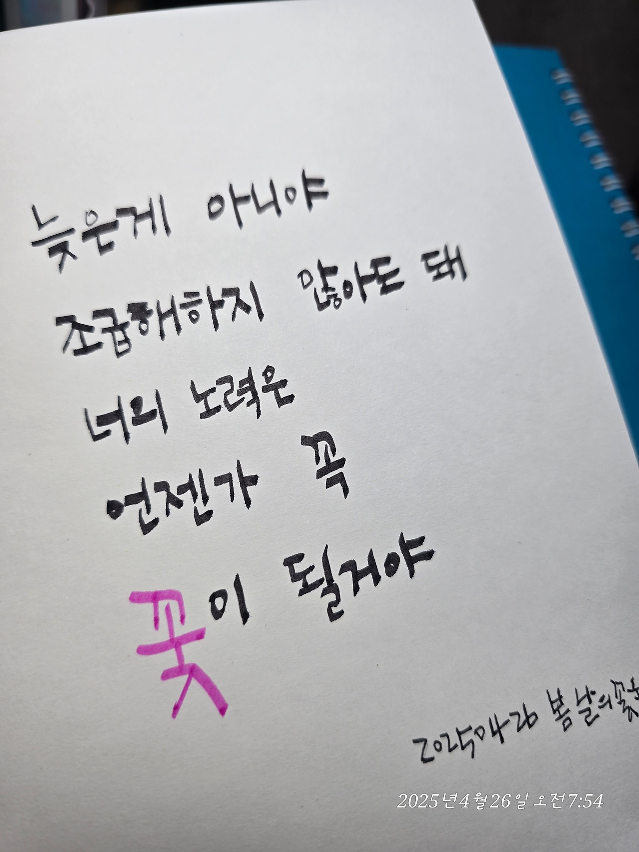 카지노 쿠폰