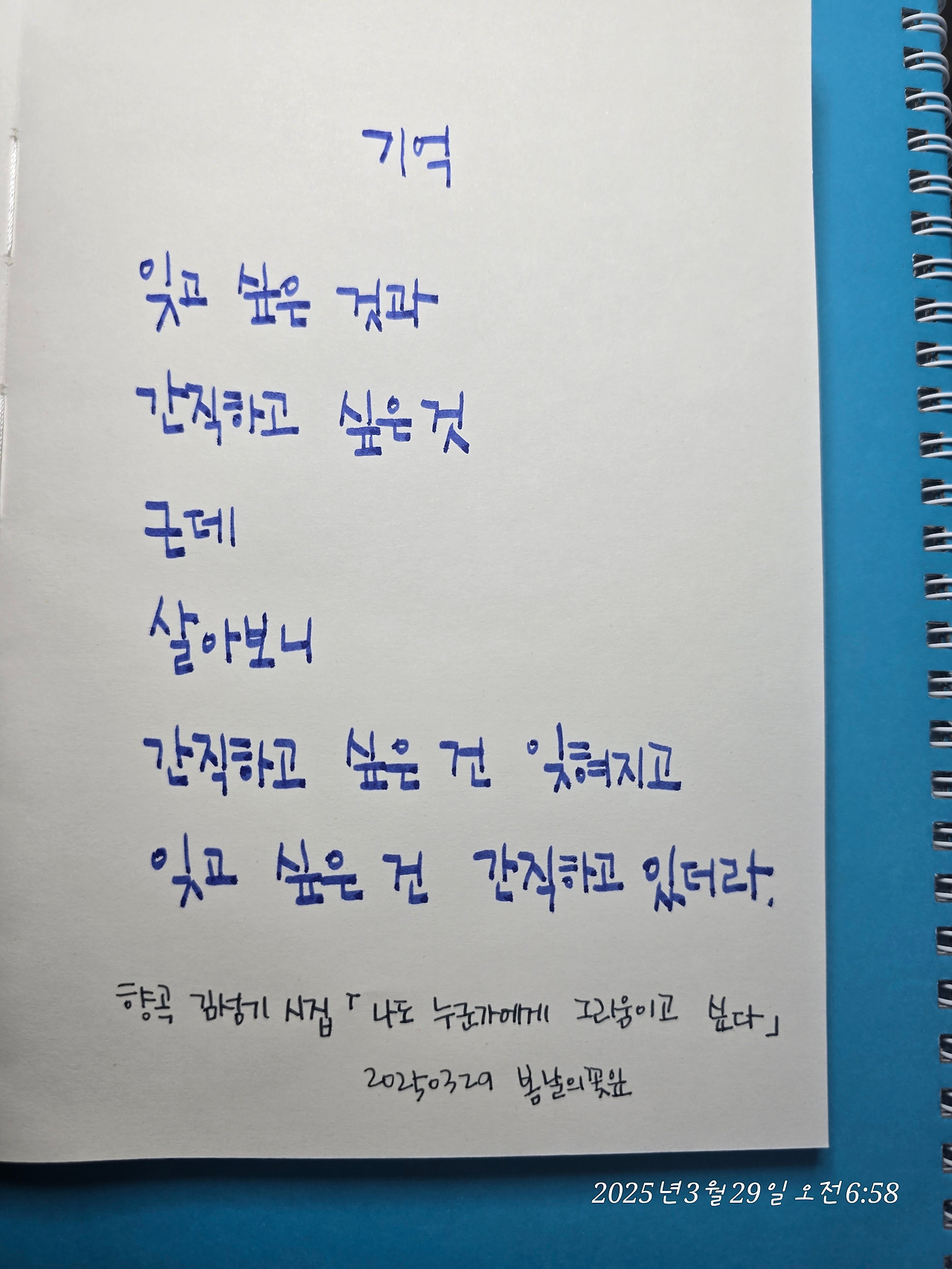 카지노 게임