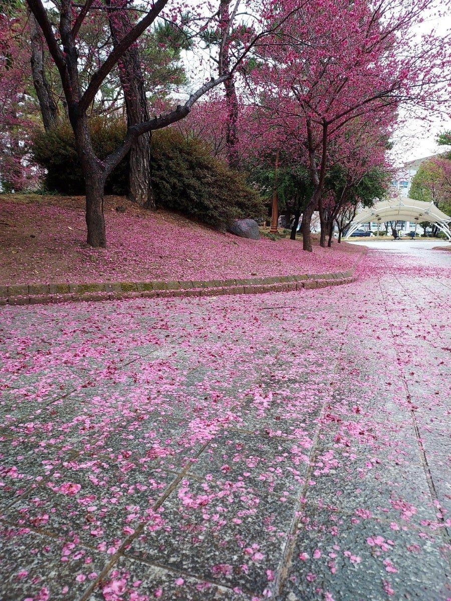 카지노 가입 쿠폰