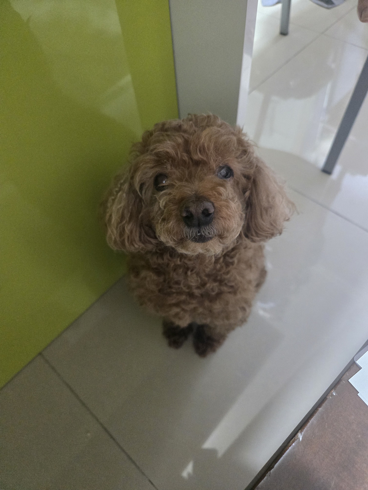 카지노 게임 추천