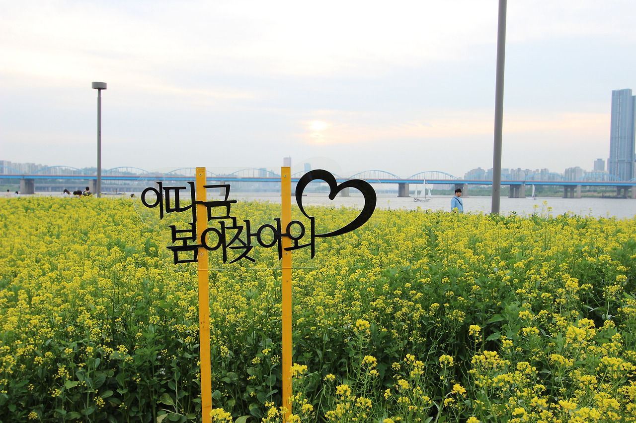 카지노 게임 추천