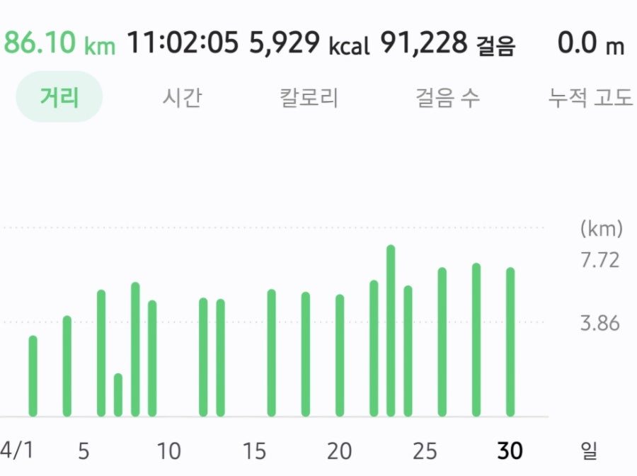 무료 카지노 게임