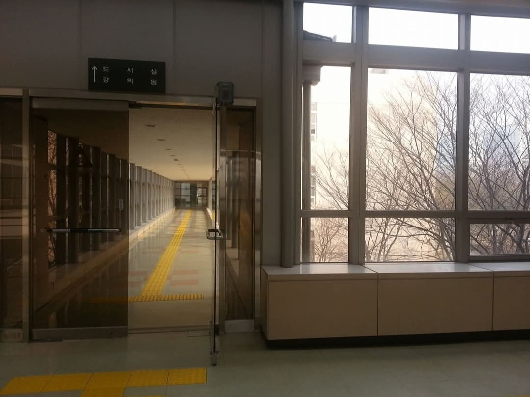 카지노 쿠폰