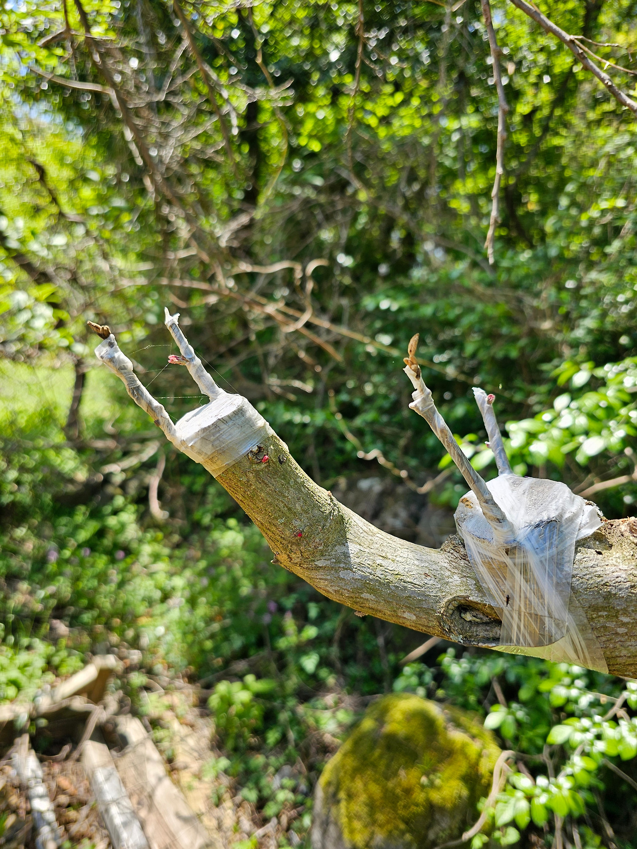 온라인 카지노 게임