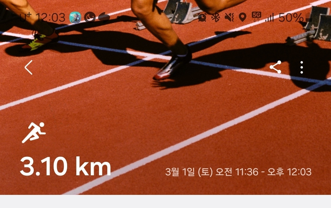 온라인 카지노 게임