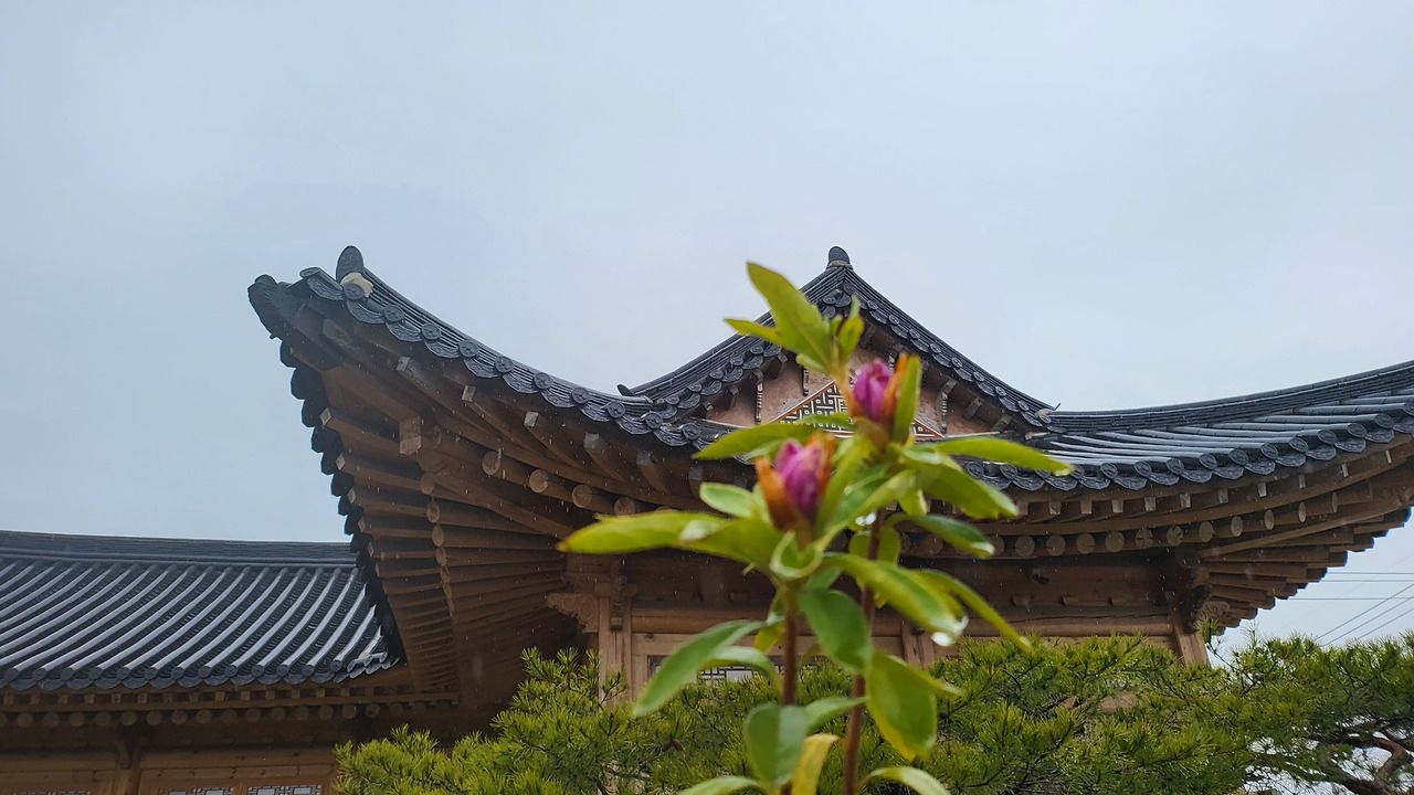 무료 카지노 게임