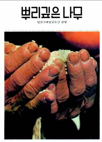 카지노 게임