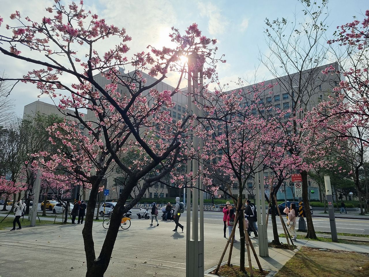온라인 카지노 게임