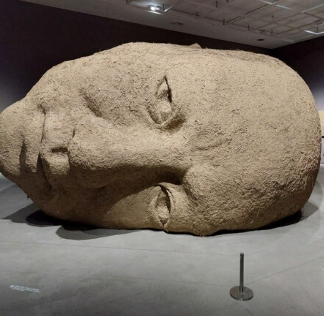 카지노 게임 사이트