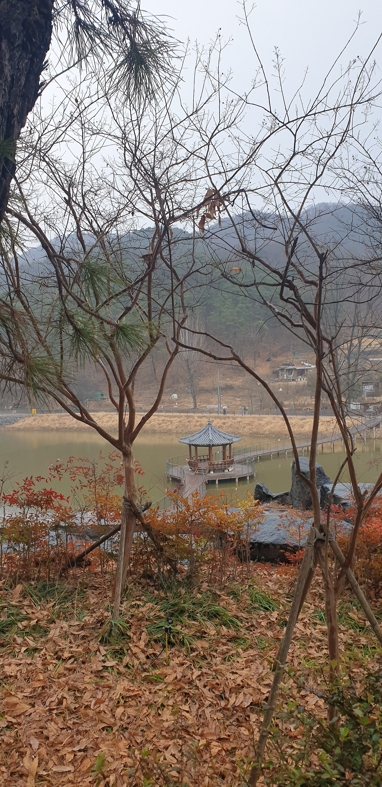 카지노 게임 추천