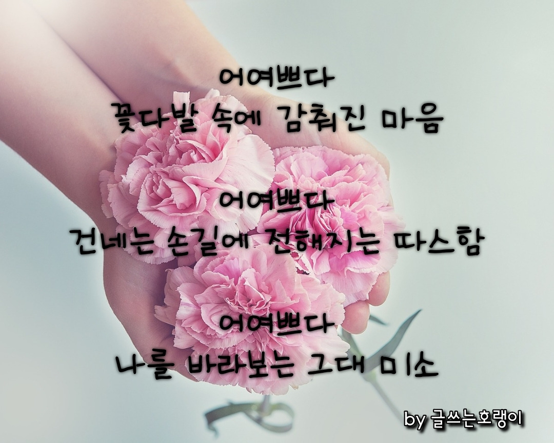 카지노 게임 사이트