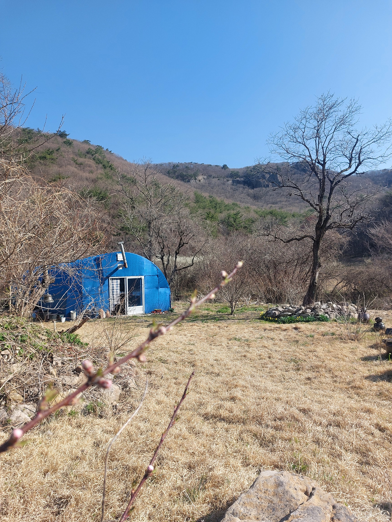카지노 가입 쿠폰