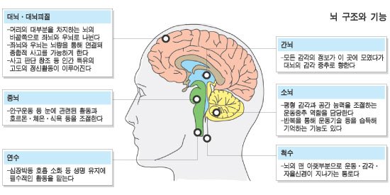 카지노 게임