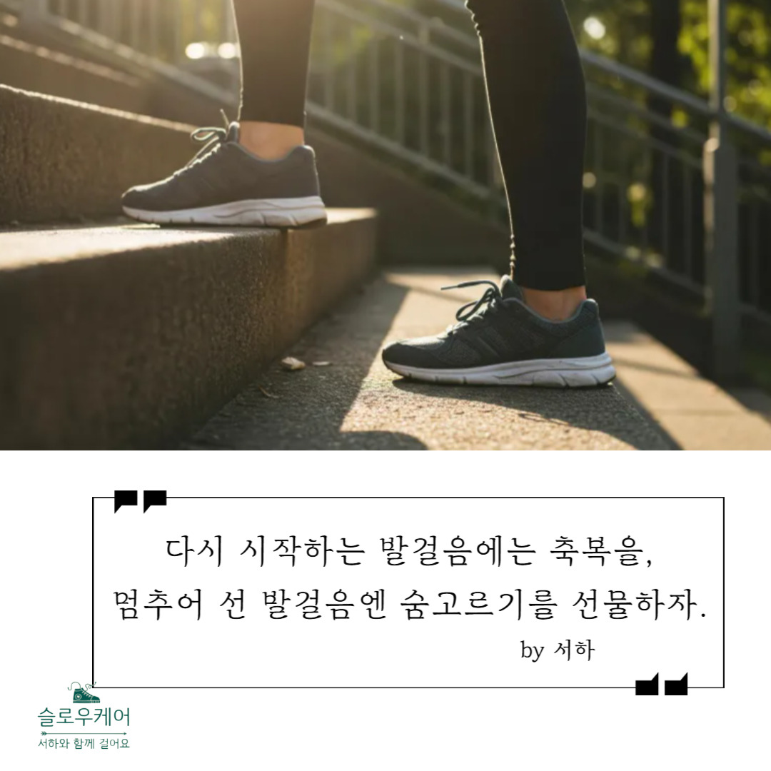 13화 다시 시작하는 작은 발걸음