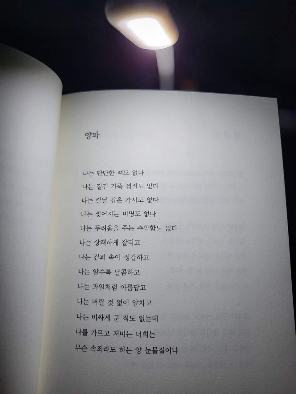 카지노 게임 사이트
