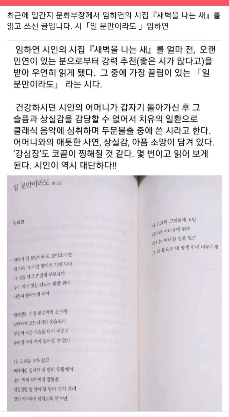 무료 카지노 게임
