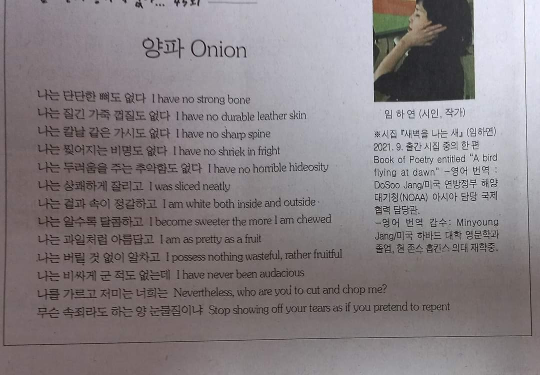 카지노 게임 사이트
