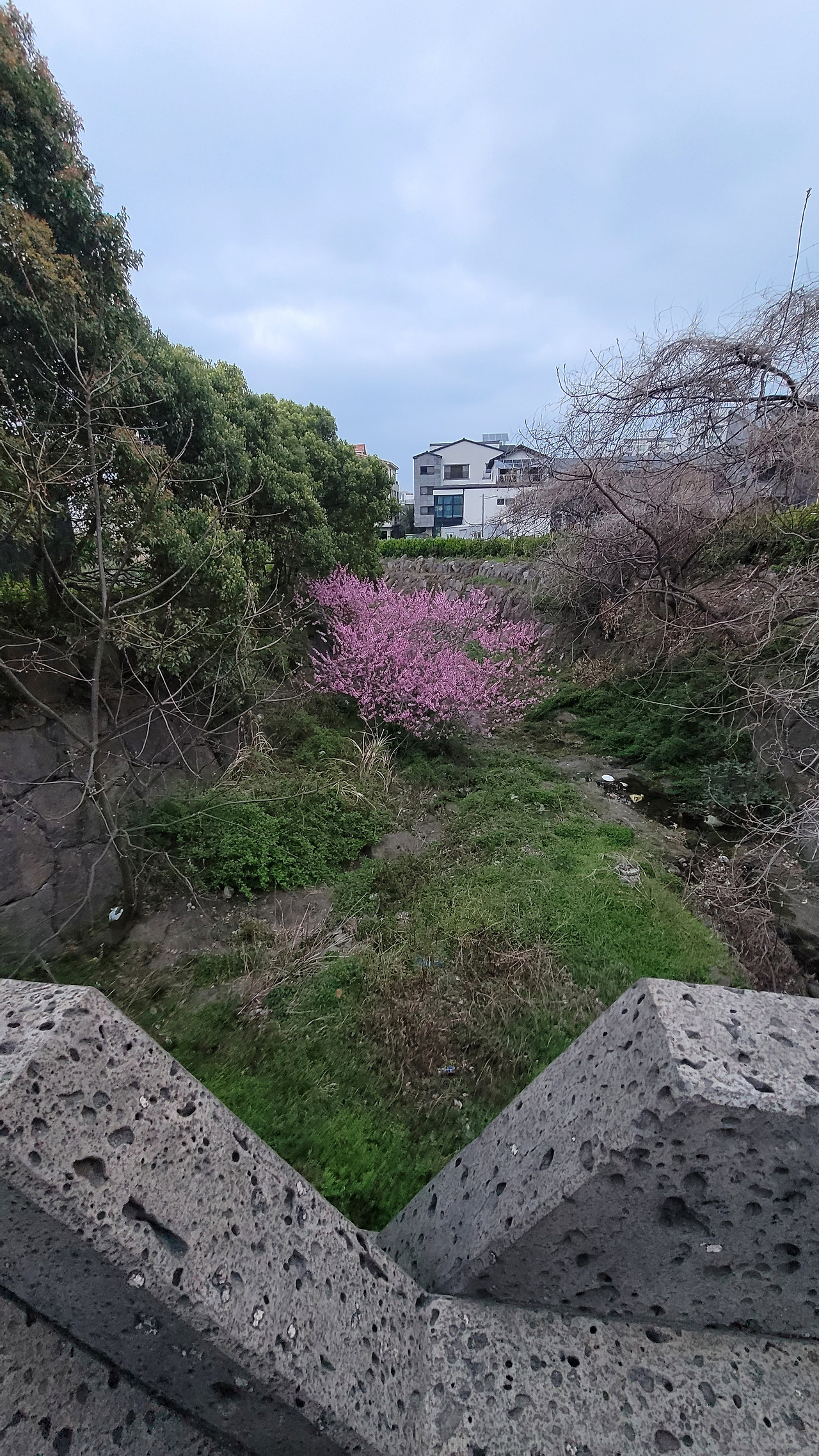 카지노 게임 사이트
