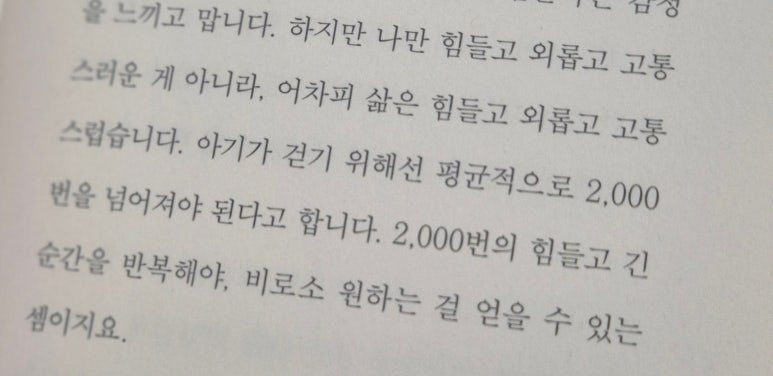 카지노 게임 사이트