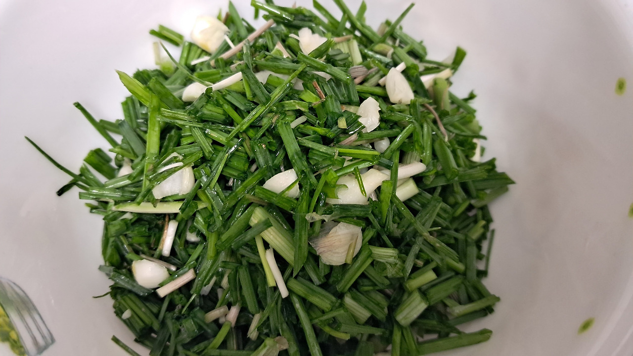 카지노 게임 사이트