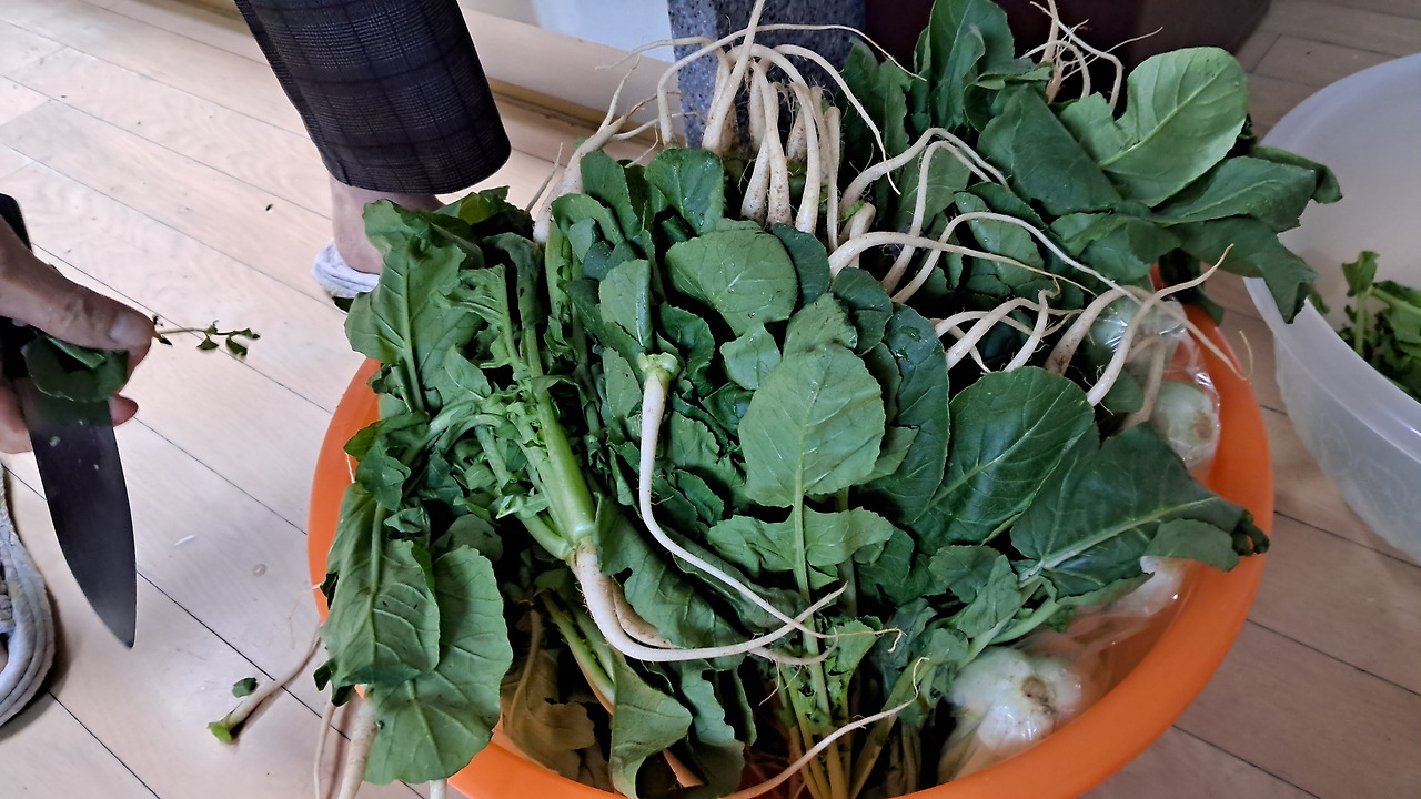 온라인 카지노 게임