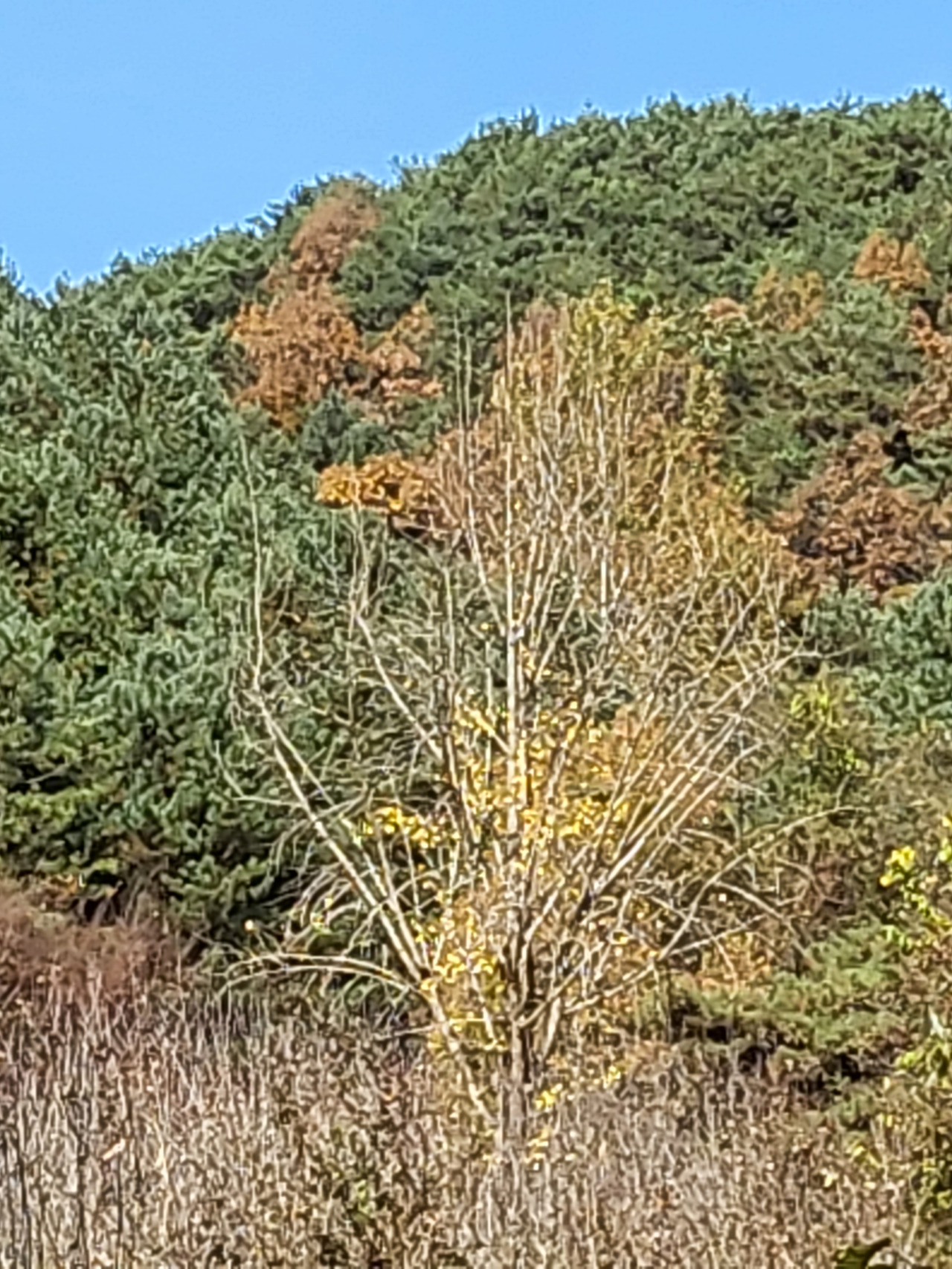 무료 카지노 게임
