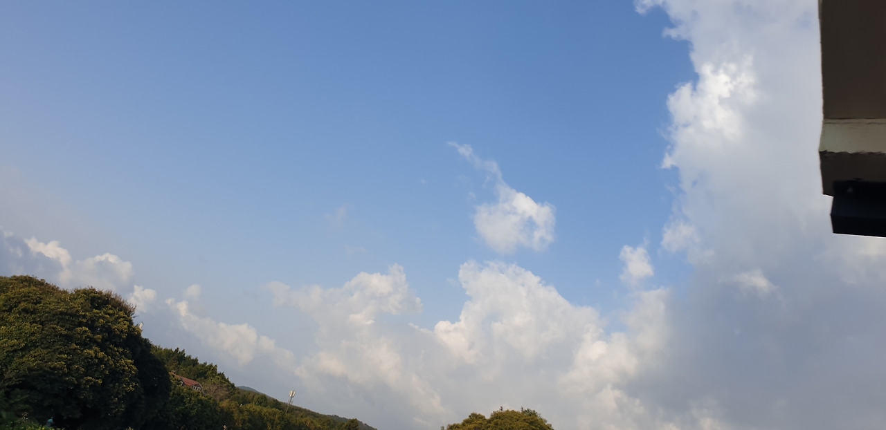 카지노 게임 추천