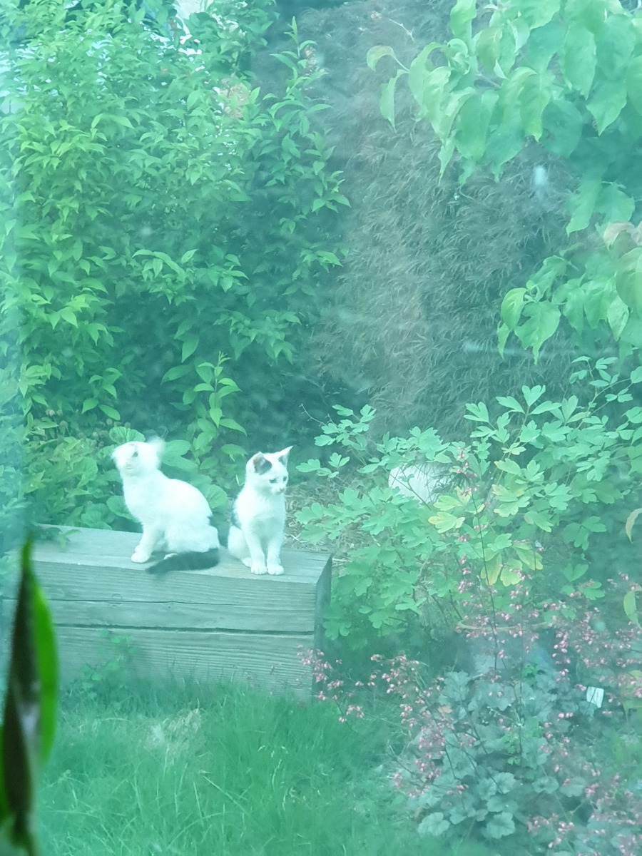 카지노 게임 사이트