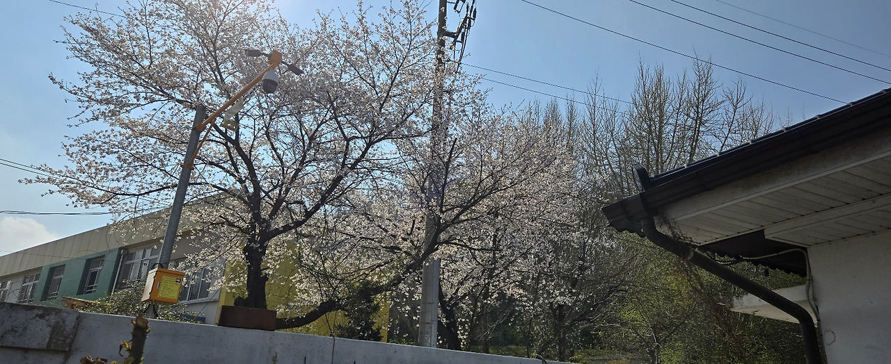 온라인 카지노 게임
