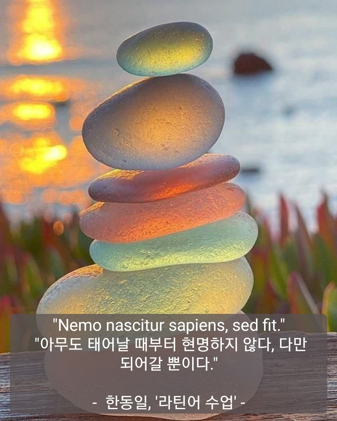 흔들림 속에서 자라나는 지혜