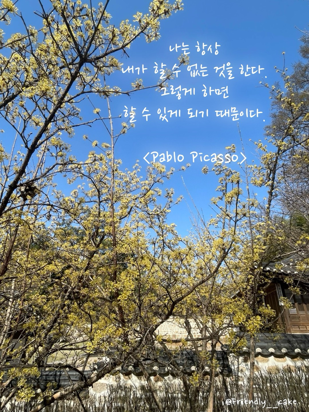 포기하지 않는다