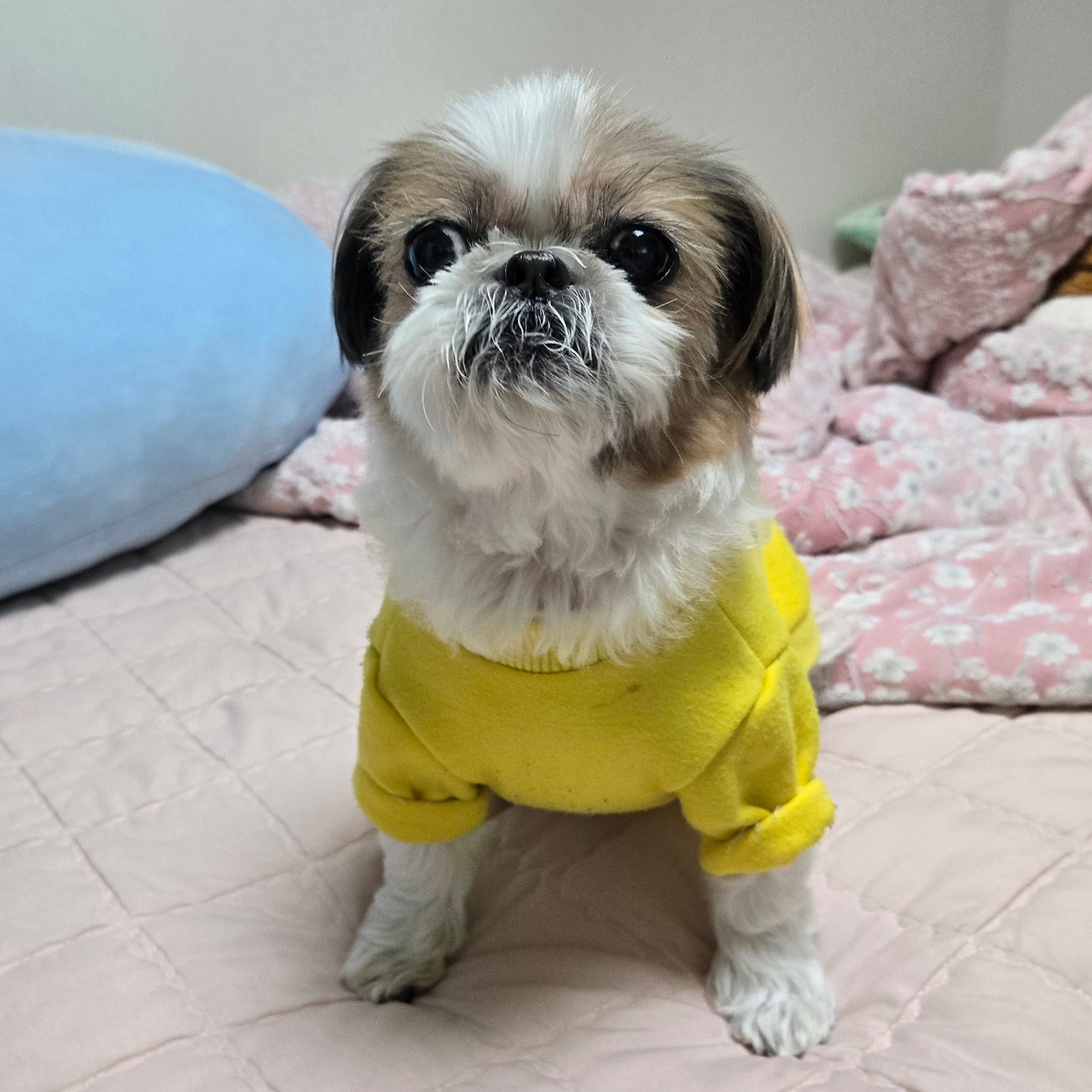 온라인 카지노 게임