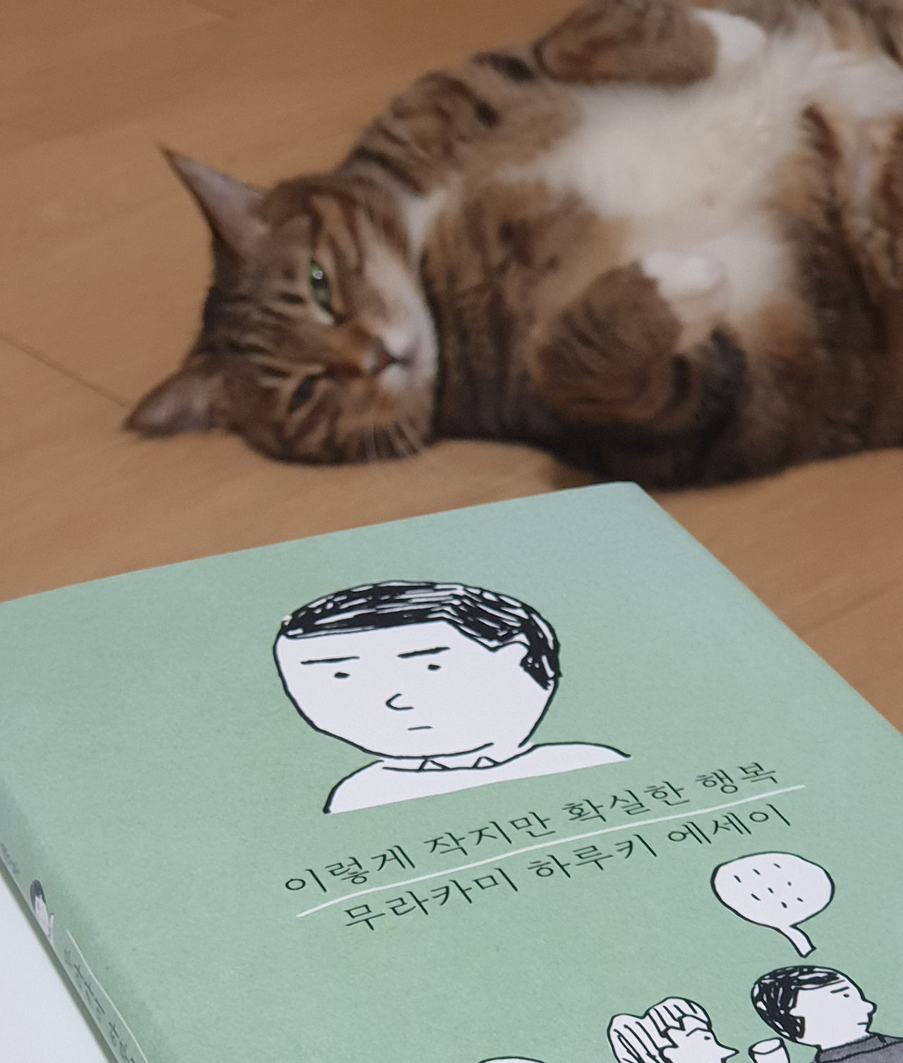 무료 카지노 게임