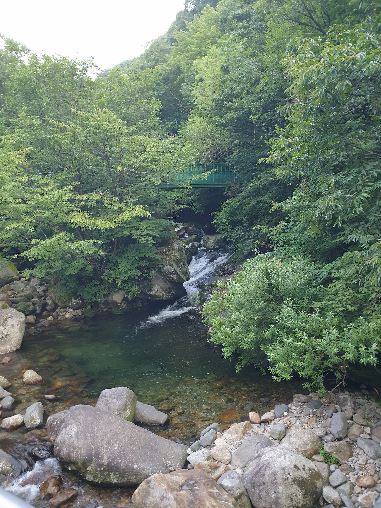 5.지리산 자연 휴양림.산속10키로.겨울은 차못올라갈듯